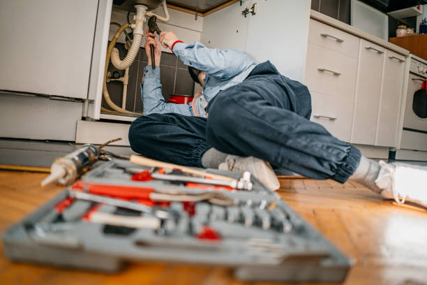  Campton Hls, IL Plumbing Pros