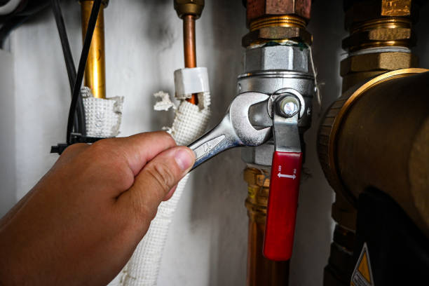 Best Shower Repair Services  in Campton Hls, IL